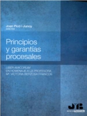 cover image of Principios y garantías procesales